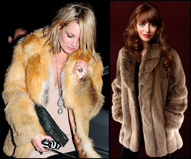 Which fur to choose