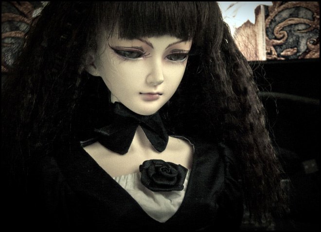 BJD dolls, toys for adults