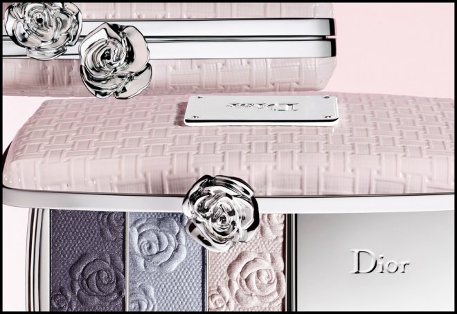 cosmetic Dior