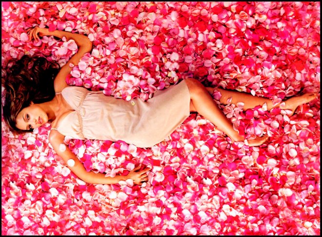 rose scent and rose petals