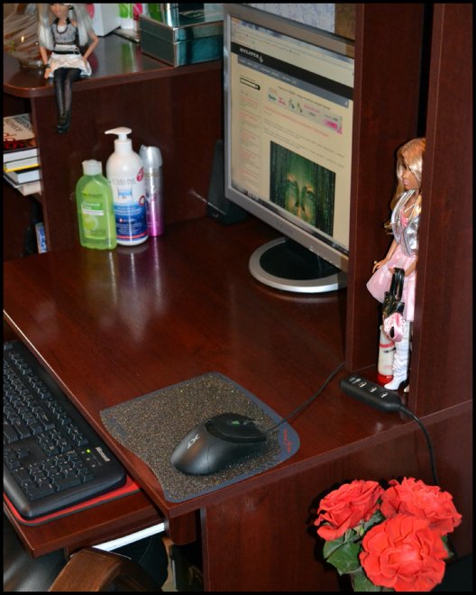 Workplace for a successful blogger