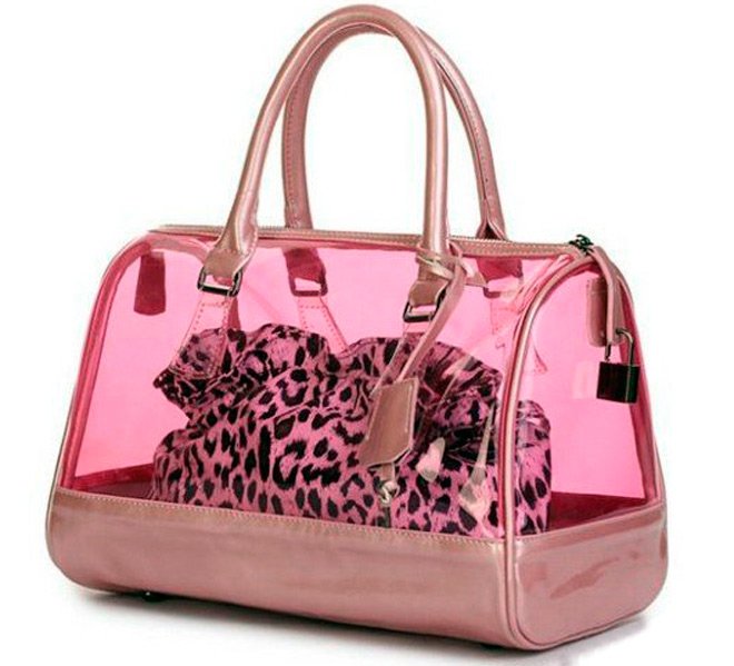 Beautiful fashion bags for girls