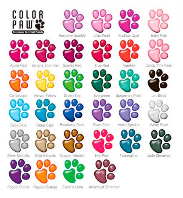 Beauty for dogs, canine nail polish