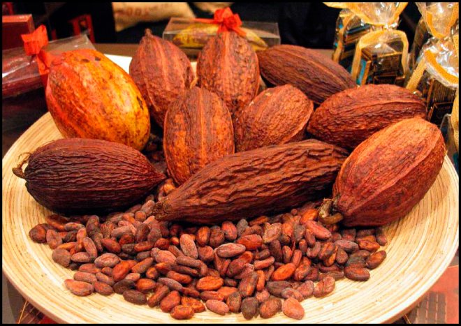 À propos des bienfaits du cacao