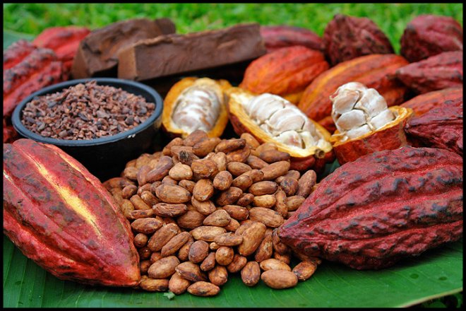 À propos des bienfaits du cacao