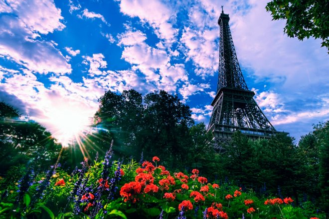 Eiffel tower and flowers