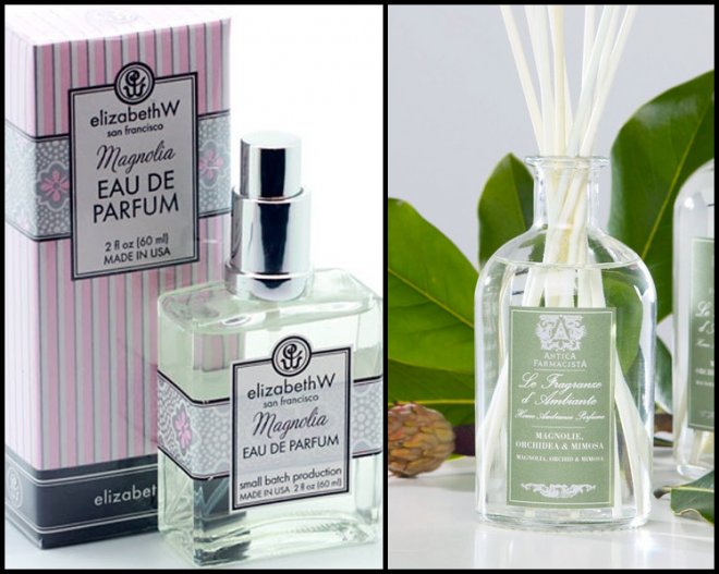 Selective perfumery with magnolia flower scent