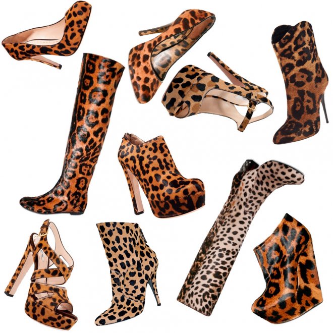 Leopard animal print on shoes