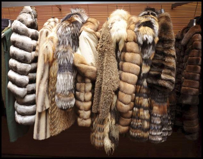 Fur products from the House of Fendi