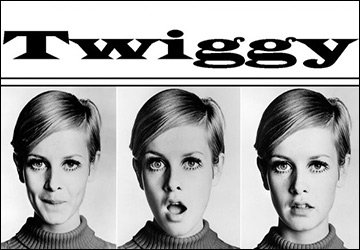 Dream Top Model - Twiggy Model