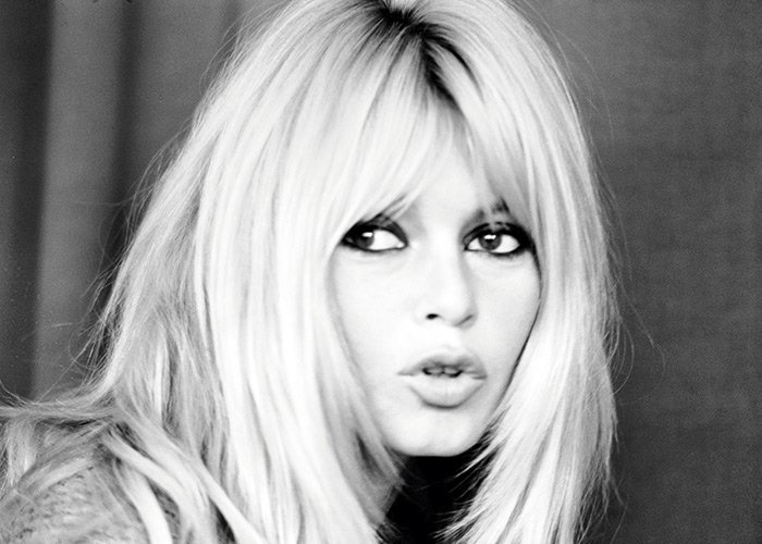 Actress Brigitte Bardot photo