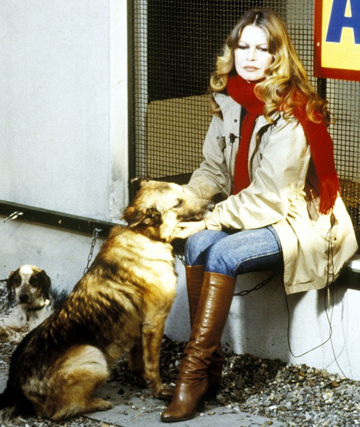 Brigitte Bardot photo with dogs