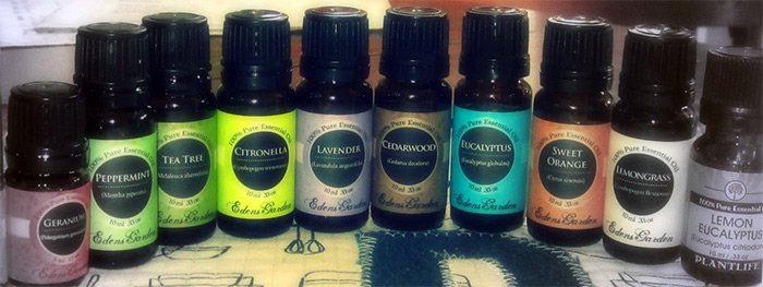 essential oils photo