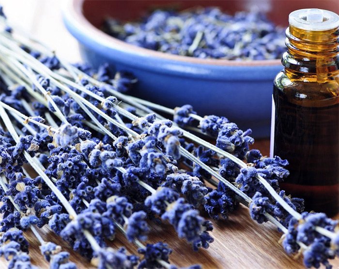 natural lavender essential oil