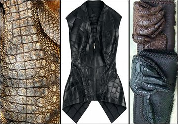 Crocodile leather processing and products