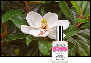 The scent of magnolia flowers in perfumery