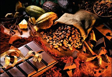 About the benefits of cocoa