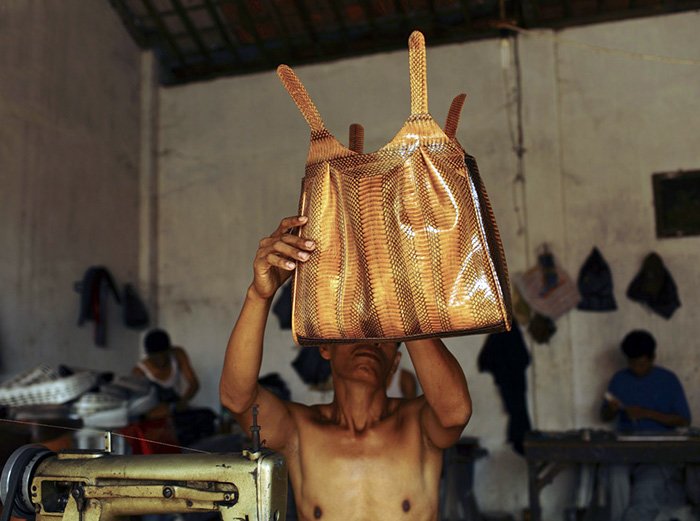 Sewing snakeskin bags, photo