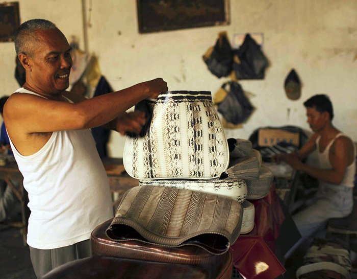 Sewing snakeskin bags, photo