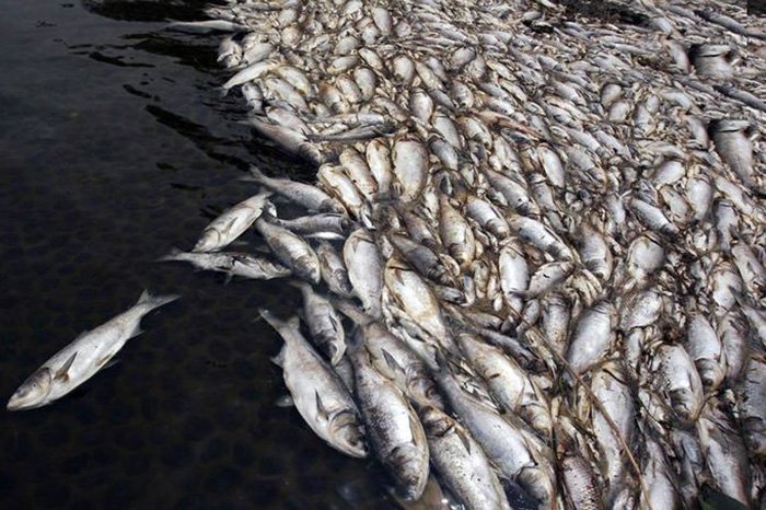 L'économie chinoise et son impact sur la nature, photo