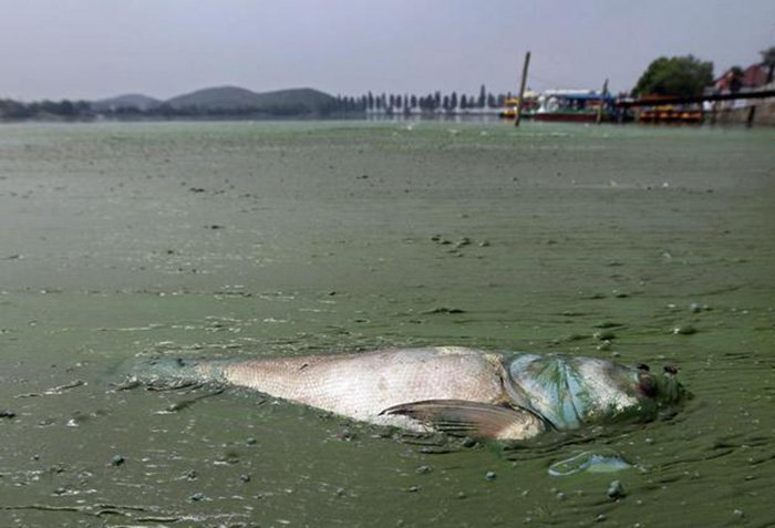 L'économie chinoise et son impact sur la nature, photo