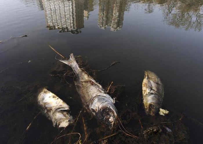 Pollution de l'environnement et développement de l'économie chinoise