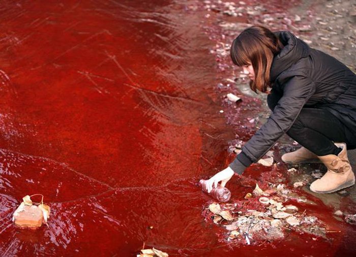 Pollution de l'environnement et développement de l'économie chinoise