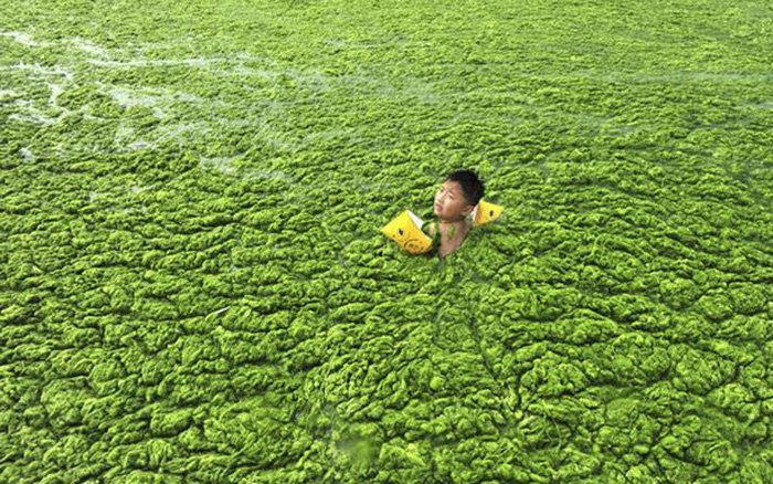 Pollution de l'environnement et développement de l'économie chinoise