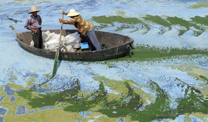 L'économie chinoise et son impact sur la nature, photo