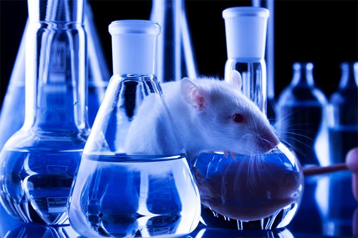 Animal testing of cosmetics