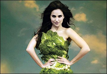 Vegetarianism, fasting and fashion