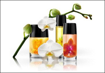 Summer scents