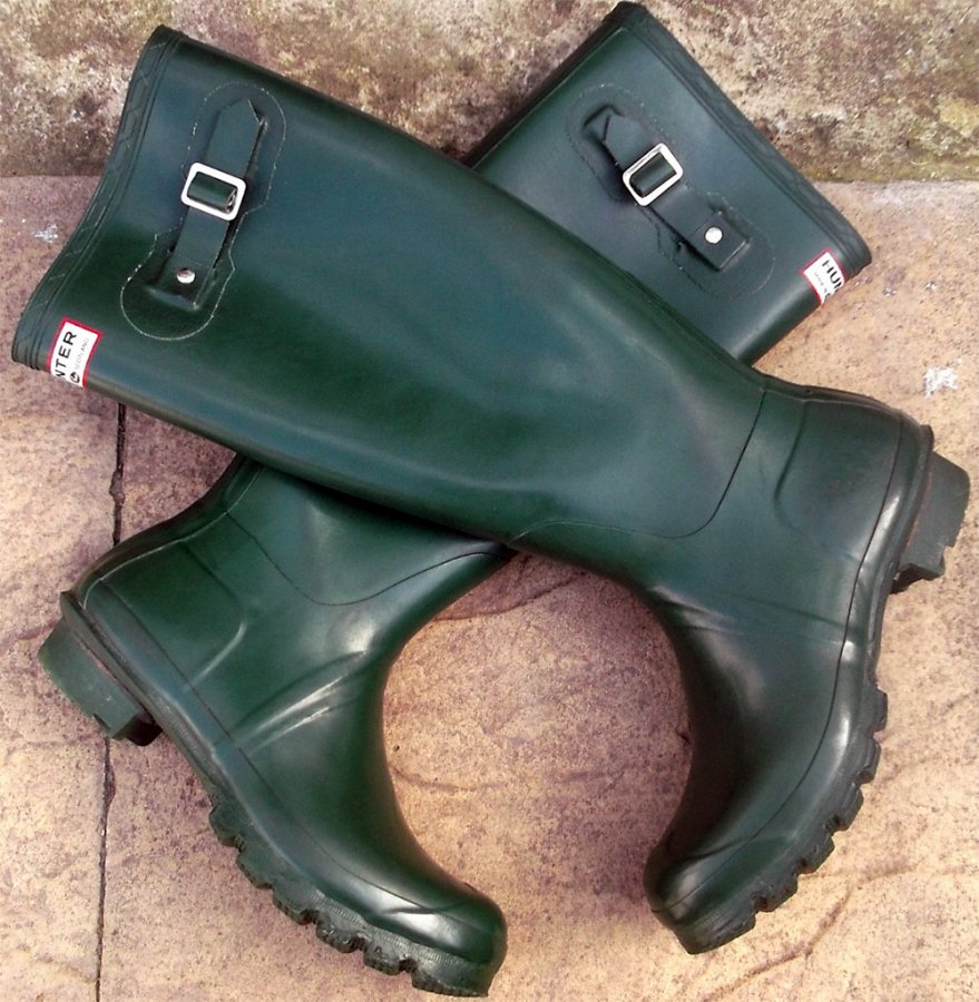 Fashionable rubber boots Hunter 2024-2025, photo