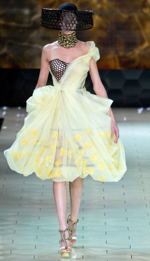 Alexander McQueen dress, photo