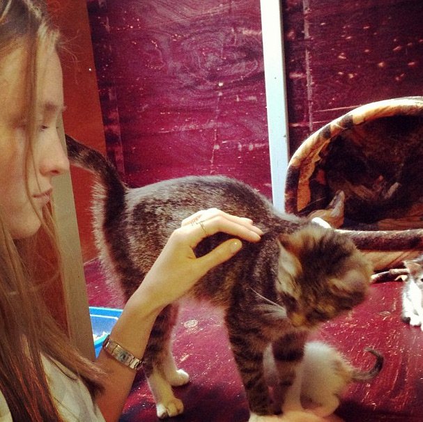 Top model Vlada Rosyalkova and a cat, photo