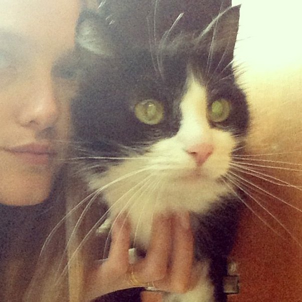 Top model Vlada Rosyalkova and a cat, photo