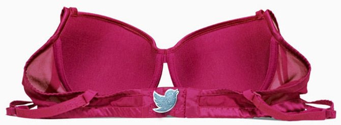 Bra with Twitter connection, photo