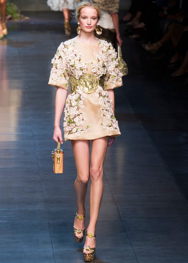 Dolce & Gabbana dress, photo