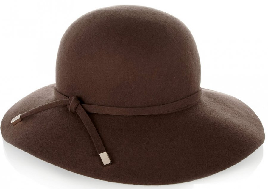 Brown women's hat, photo