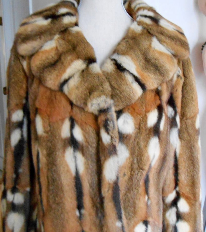 Fur coat, photo