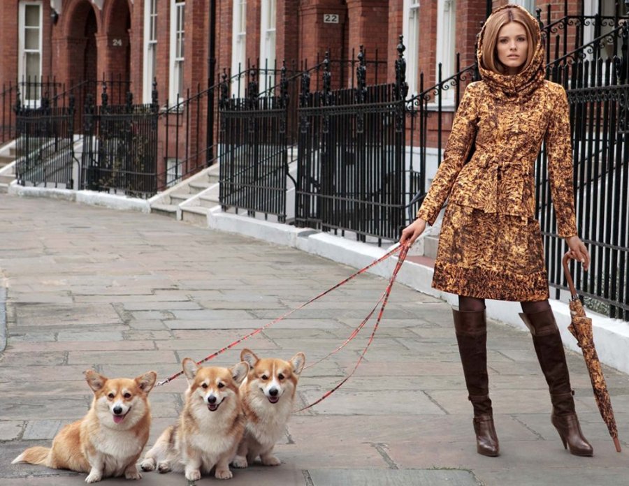 Model with glamorous dogs