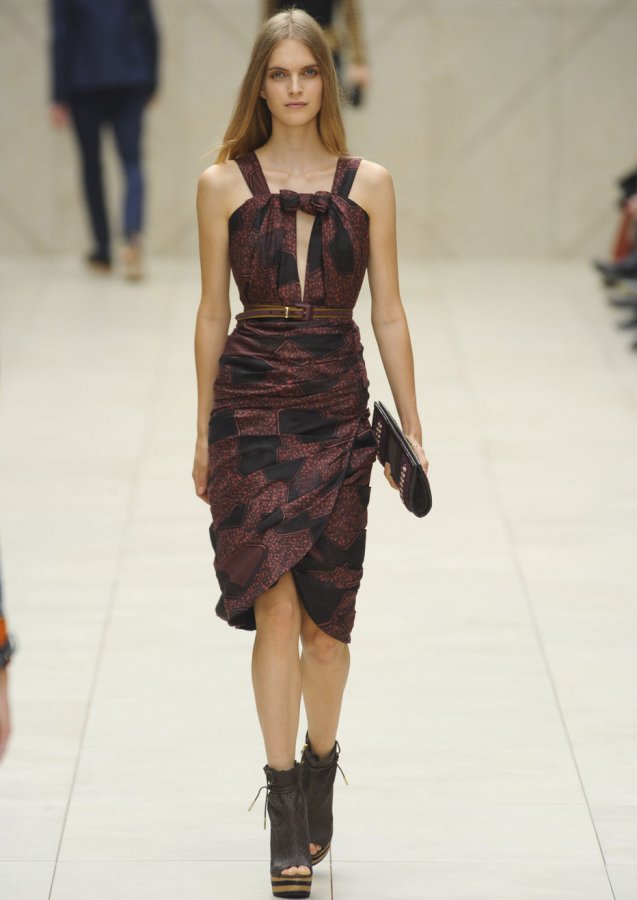 Burberry dress, photo