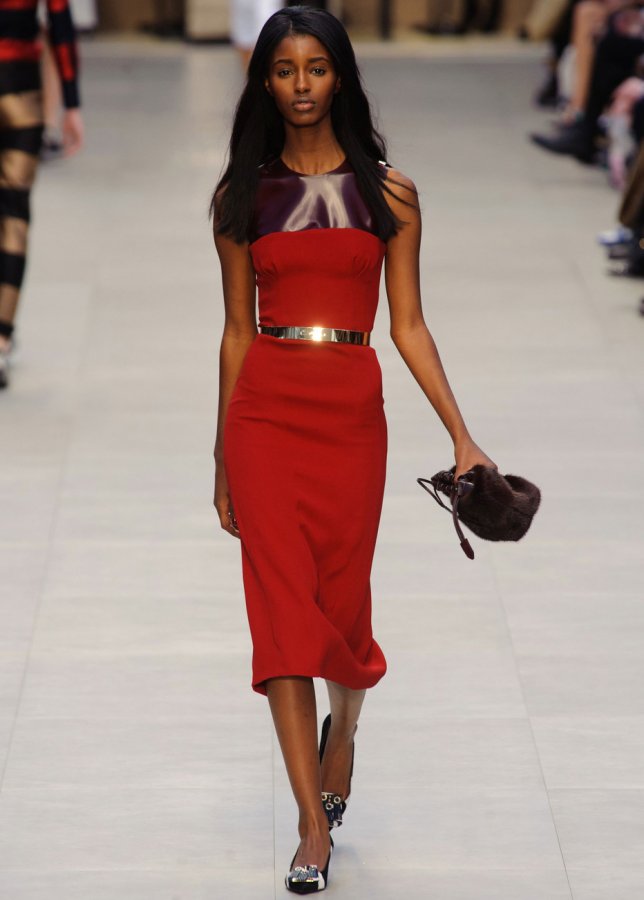 Red Burberry dress, photo