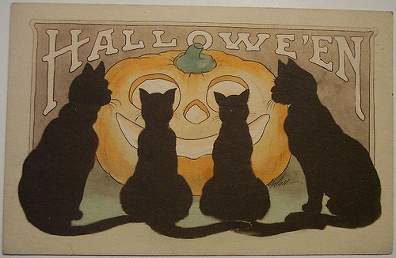 Black cats - antique postcard