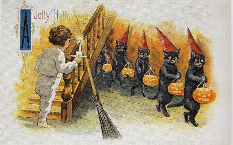 Black cats - vintage card