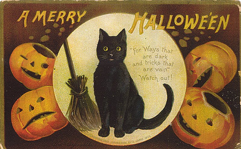 Black cat - vintage card