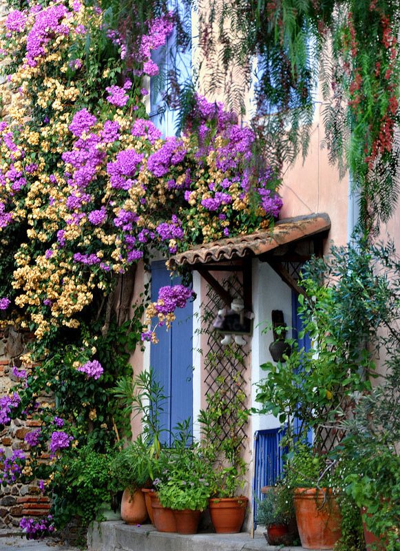 Flowers and Provence style