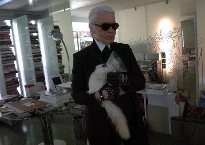 Cat collection and Karl Lagerfeld's cat