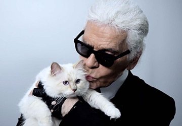 Cat collection by Karl Lagerfeld