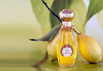 Citrus aromas in perfumery